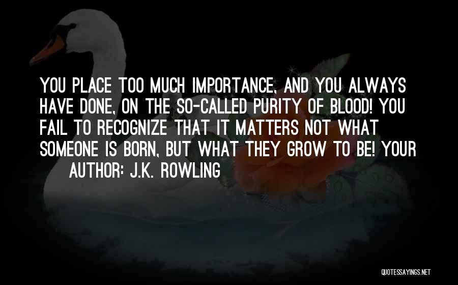 J.K. Rowling Quotes: You Place Too Much Importance, And You Always Have Done, On The So-called Purity Of Blood! You Fail To Recognize