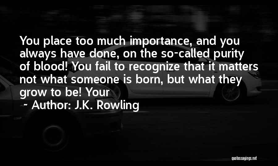 J.K. Rowling Quotes: You Place Too Much Importance, And You Always Have Done, On The So-called Purity Of Blood! You Fail To Recognize