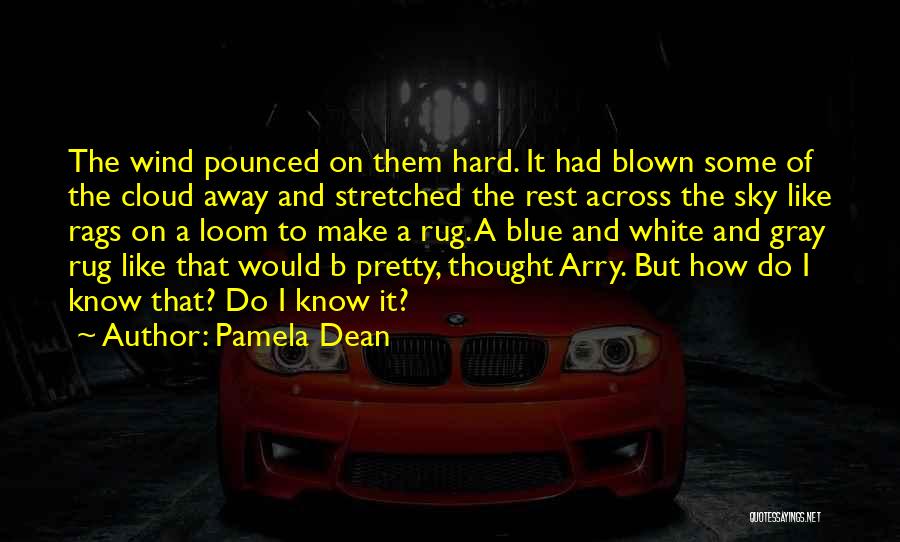 Pamela Dean Quotes: The Wind Pounced On Them Hard. It Had Blown Some Of The Cloud Away And Stretched The Rest Across The