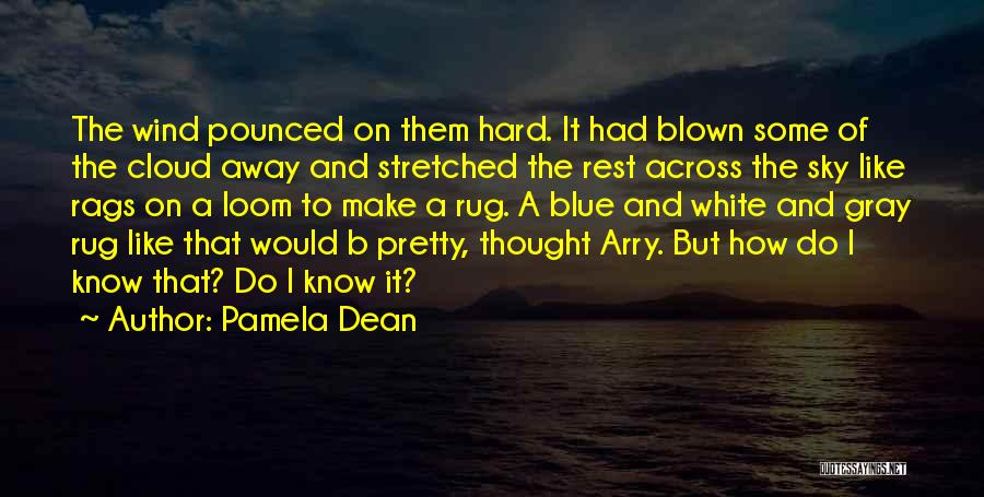 Pamela Dean Quotes: The Wind Pounced On Them Hard. It Had Blown Some Of The Cloud Away And Stretched The Rest Across The