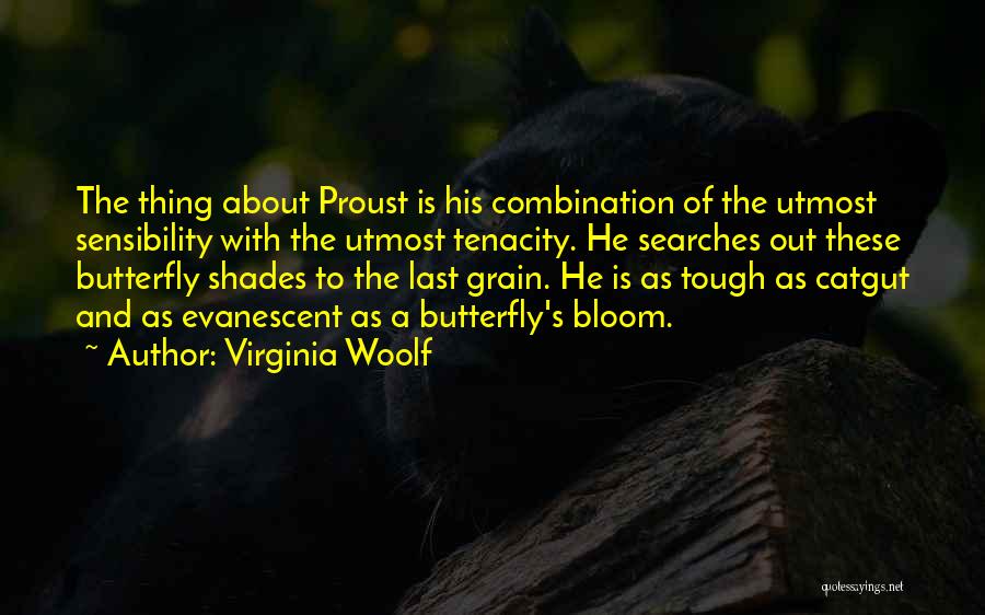 Virginia Woolf Quotes: The Thing About Proust Is His Combination Of The Utmost Sensibility With The Utmost Tenacity. He Searches Out These Butterfly