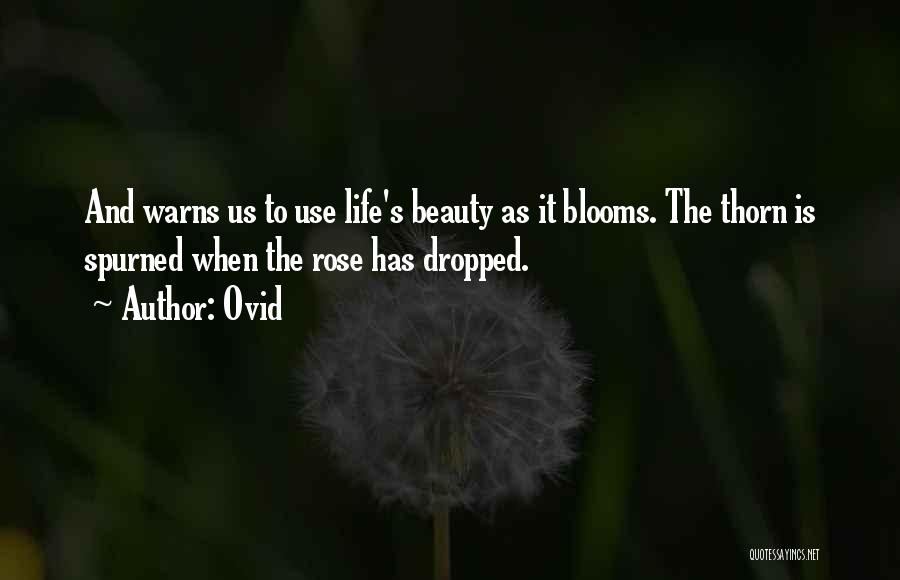 Ovid Quotes: And Warns Us To Use Life's Beauty As It Blooms. The Thorn Is Spurned When The Rose Has Dropped.