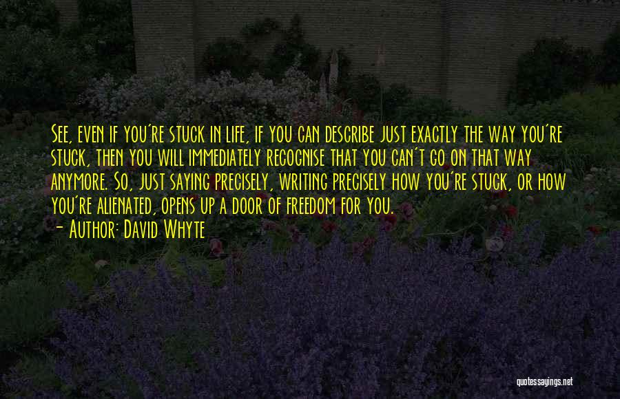 David Whyte Quotes: See, Even If You're Stuck In Life, If You Can Describe Just Exactly The Way You're Stuck, Then You Will