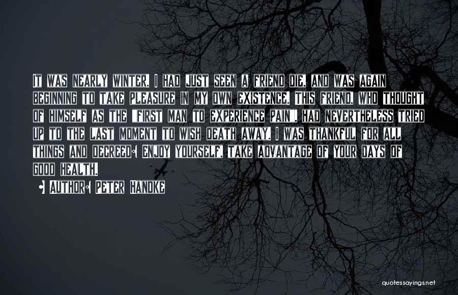 Peter Handke Quotes: It Was Nearly Winter. I Had Just Seen A Friend Die, And Was Again Beginning To Take Pleasure In My