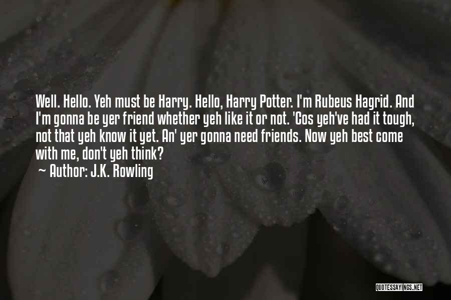 J.K. Rowling Quotes: Well. Hello. Yeh Must Be Harry. Hello, Harry Potter. I'm Rubeus Hagrid. And I'm Gonna Be Yer Friend Whether Yeh
