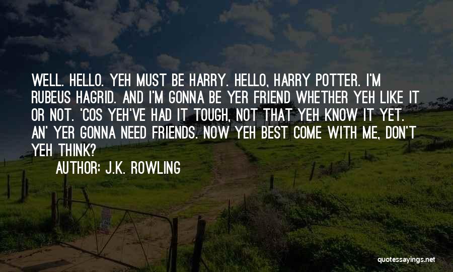 J.K. Rowling Quotes: Well. Hello. Yeh Must Be Harry. Hello, Harry Potter. I'm Rubeus Hagrid. And I'm Gonna Be Yer Friend Whether Yeh