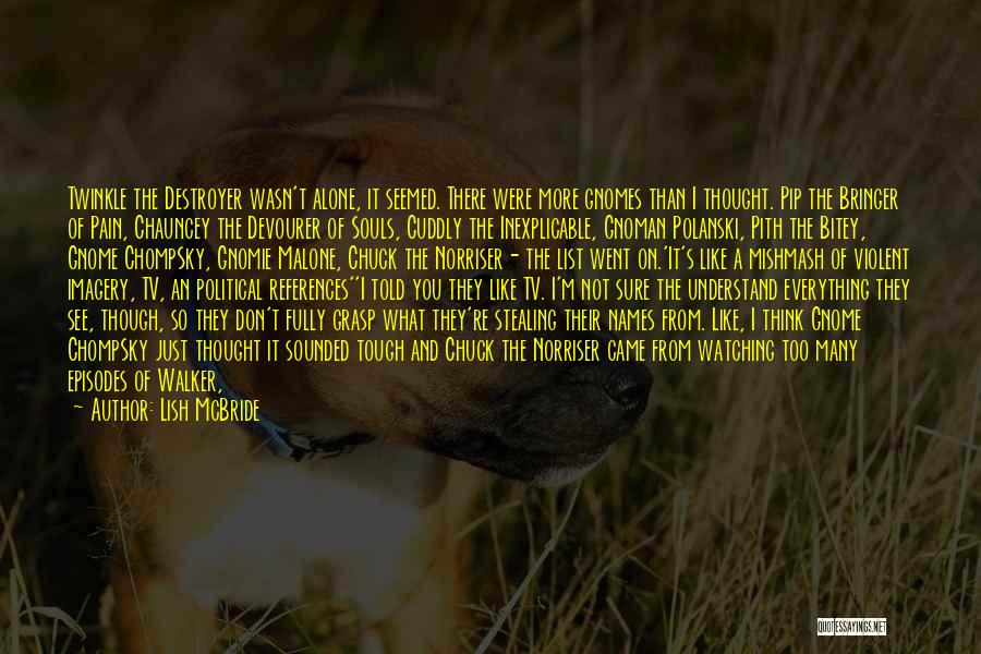 Lish McBride Quotes: Twinkle The Destroyer Wasn't Alone, It Seemed. There Were More Gnomes Than I Thought. Pip The Bringer Of Pain, Chauncey