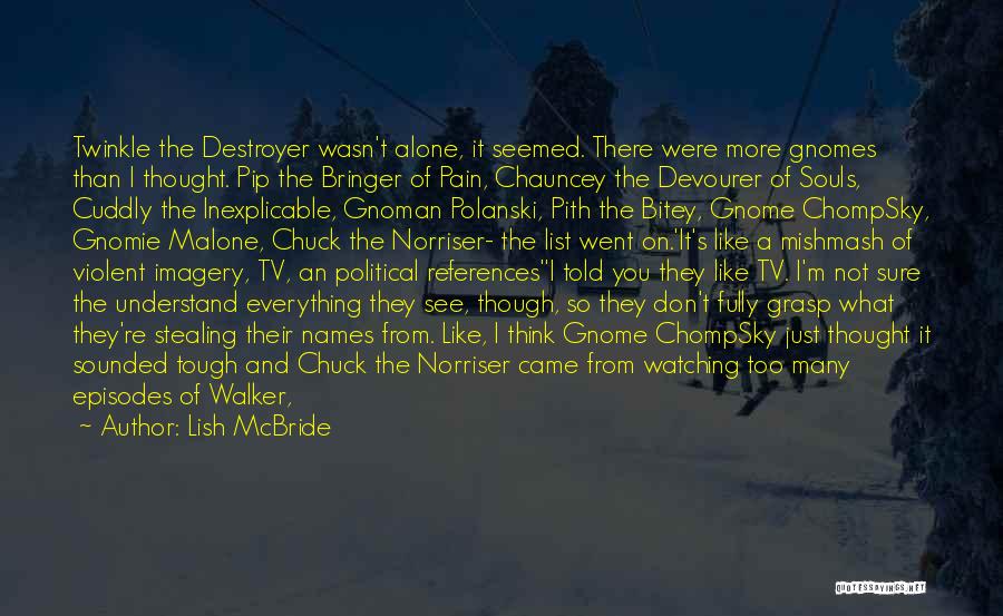 Lish McBride Quotes: Twinkle The Destroyer Wasn't Alone, It Seemed. There Were More Gnomes Than I Thought. Pip The Bringer Of Pain, Chauncey