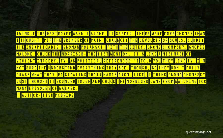 Lish McBride Quotes: Twinkle The Destroyer Wasn't Alone, It Seemed. There Were More Gnomes Than I Thought. Pip The Bringer Of Pain, Chauncey