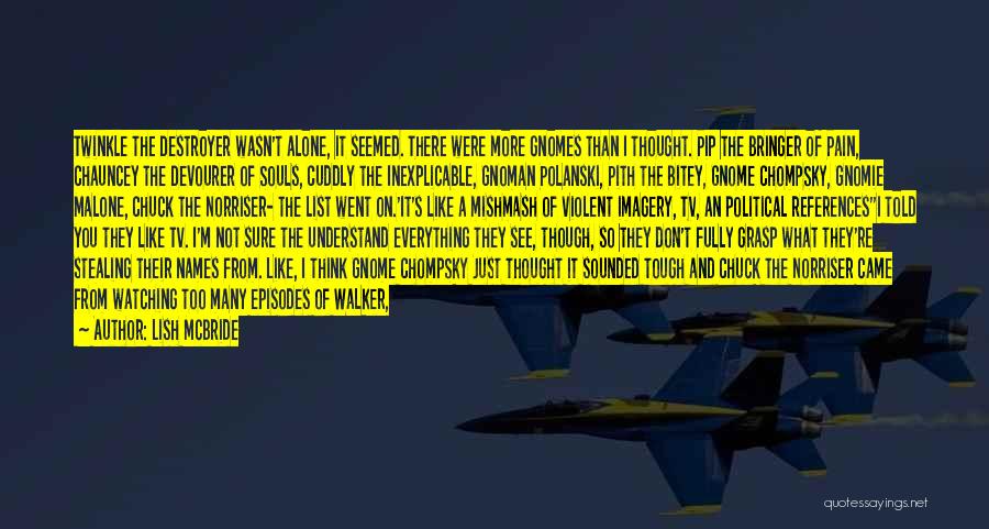 Lish McBride Quotes: Twinkle The Destroyer Wasn't Alone, It Seemed. There Were More Gnomes Than I Thought. Pip The Bringer Of Pain, Chauncey