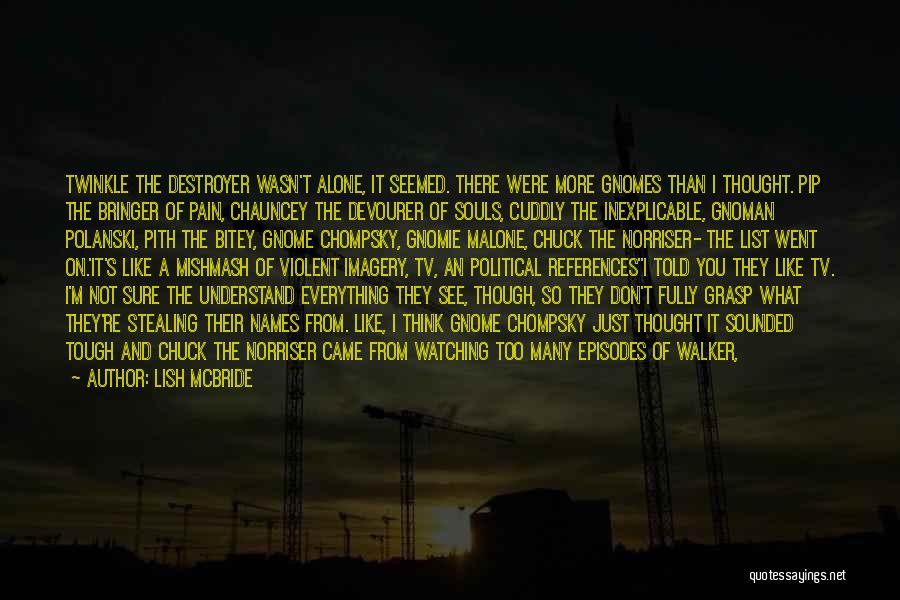Lish McBride Quotes: Twinkle The Destroyer Wasn't Alone, It Seemed. There Were More Gnomes Than I Thought. Pip The Bringer Of Pain, Chauncey