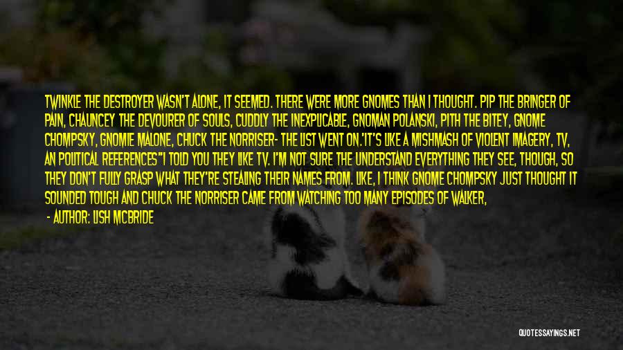 Lish McBride Quotes: Twinkle The Destroyer Wasn't Alone, It Seemed. There Were More Gnomes Than I Thought. Pip The Bringer Of Pain, Chauncey