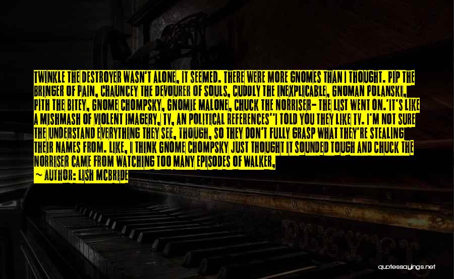 Lish McBride Quotes: Twinkle The Destroyer Wasn't Alone, It Seemed. There Were More Gnomes Than I Thought. Pip The Bringer Of Pain, Chauncey