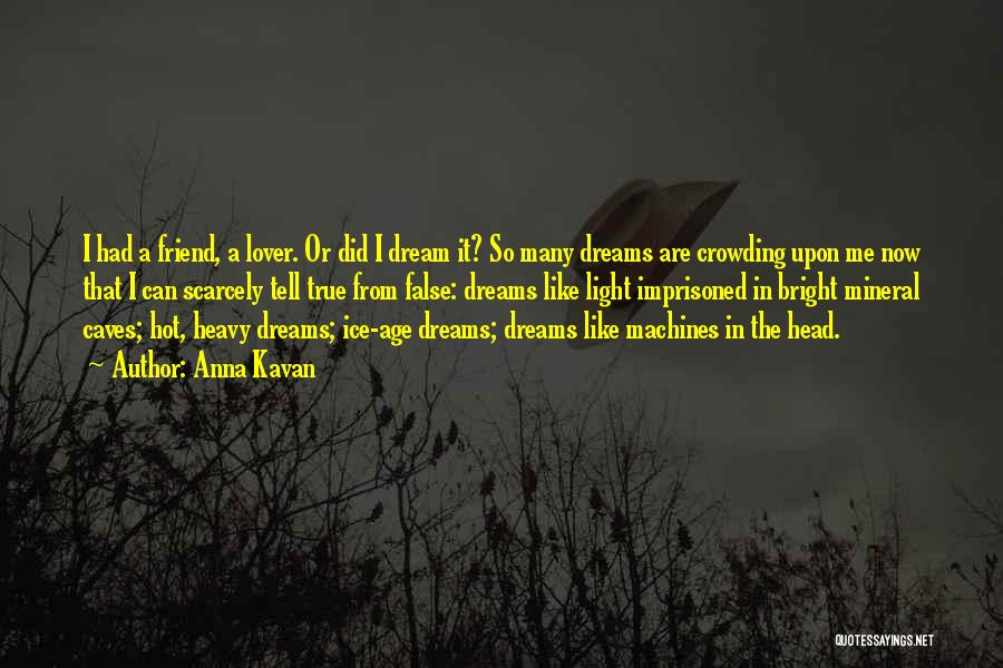 Anna Kavan Quotes: I Had A Friend, A Lover. Or Did I Dream It? So Many Dreams Are Crowding Upon Me Now That