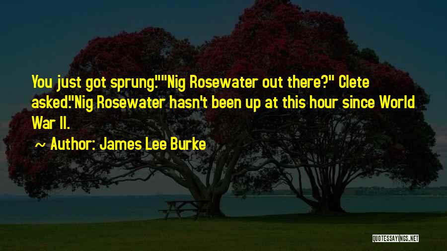 James Lee Burke Quotes: You Just Got Sprung.nig Rosewater Out There? Clete Asked.nig Rosewater Hasn't Been Up At This Hour Since World War Ii.