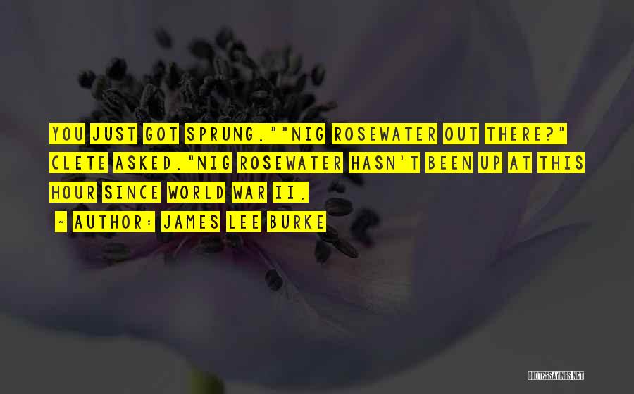 James Lee Burke Quotes: You Just Got Sprung.nig Rosewater Out There? Clete Asked.nig Rosewater Hasn't Been Up At This Hour Since World War Ii.