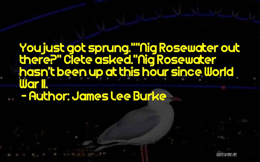 James Lee Burke Quotes: You Just Got Sprung.nig Rosewater Out There? Clete Asked.nig Rosewater Hasn't Been Up At This Hour Since World War Ii.