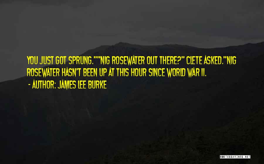 James Lee Burke Quotes: You Just Got Sprung.nig Rosewater Out There? Clete Asked.nig Rosewater Hasn't Been Up At This Hour Since World War Ii.