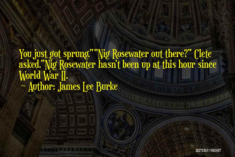James Lee Burke Quotes: You Just Got Sprung.nig Rosewater Out There? Clete Asked.nig Rosewater Hasn't Been Up At This Hour Since World War Ii.
