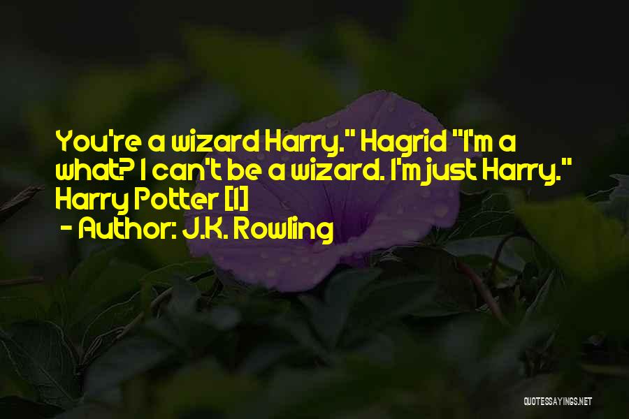 J.K. Rowling Quotes: You're A Wizard Harry. Hagrid I'm A What? I Can't Be A Wizard. I'm Just Harry. Harry Potter [1]