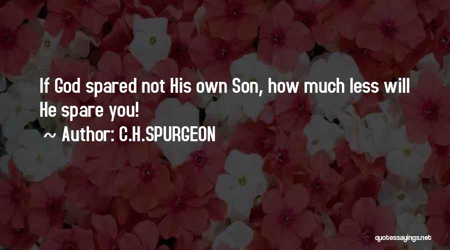 C.H.SPURGEON Quotes: If God Spared Not His Own Son, How Much Less Will He Spare You!