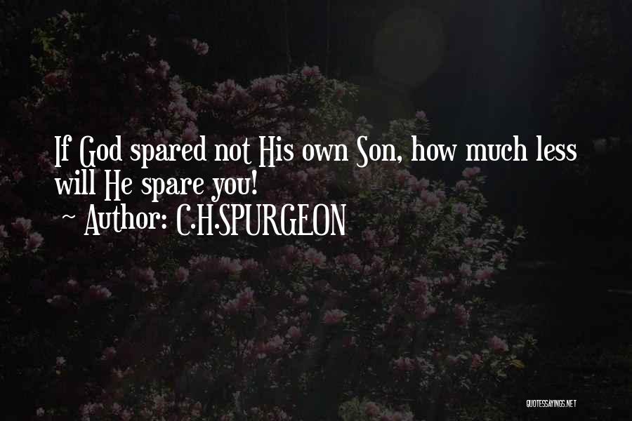 C.H.SPURGEON Quotes: If God Spared Not His Own Son, How Much Less Will He Spare You!