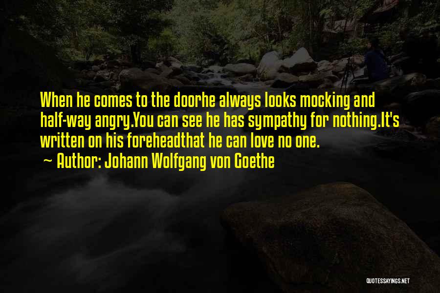 Johann Wolfgang Von Goethe Quotes: When He Comes To The Doorhe Always Looks Mocking And Half-way Angry.you Can See He Has Sympathy For Nothing.it's Written