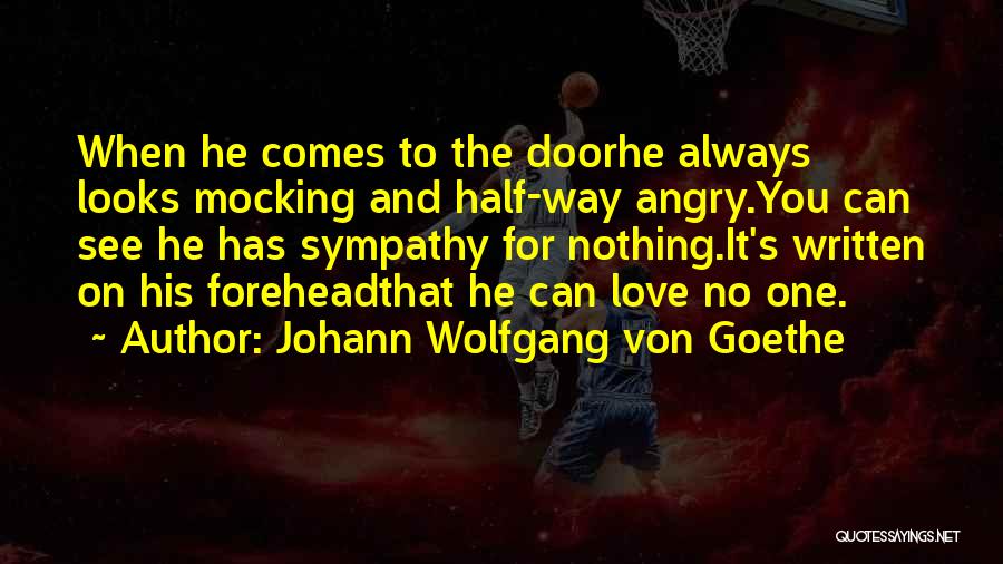 Johann Wolfgang Von Goethe Quotes: When He Comes To The Doorhe Always Looks Mocking And Half-way Angry.you Can See He Has Sympathy For Nothing.it's Written