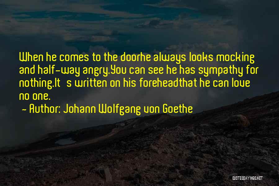 Johann Wolfgang Von Goethe Quotes: When He Comes To The Doorhe Always Looks Mocking And Half-way Angry.you Can See He Has Sympathy For Nothing.it's Written