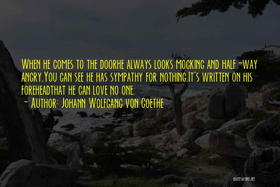 Johann Wolfgang Von Goethe Quotes: When He Comes To The Doorhe Always Looks Mocking And Half-way Angry.you Can See He Has Sympathy For Nothing.it's Written