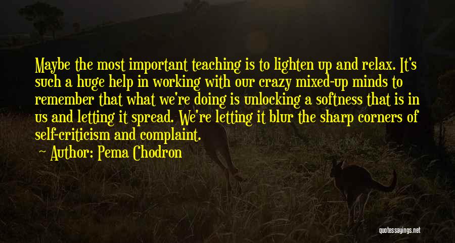 Pema Chodron Quotes: Maybe The Most Important Teaching Is To Lighten Up And Relax. It's Such A Huge Help In Working With Our