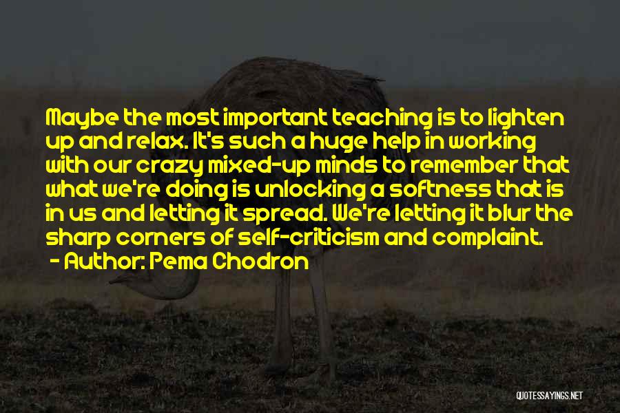 Pema Chodron Quotes: Maybe The Most Important Teaching Is To Lighten Up And Relax. It's Such A Huge Help In Working With Our