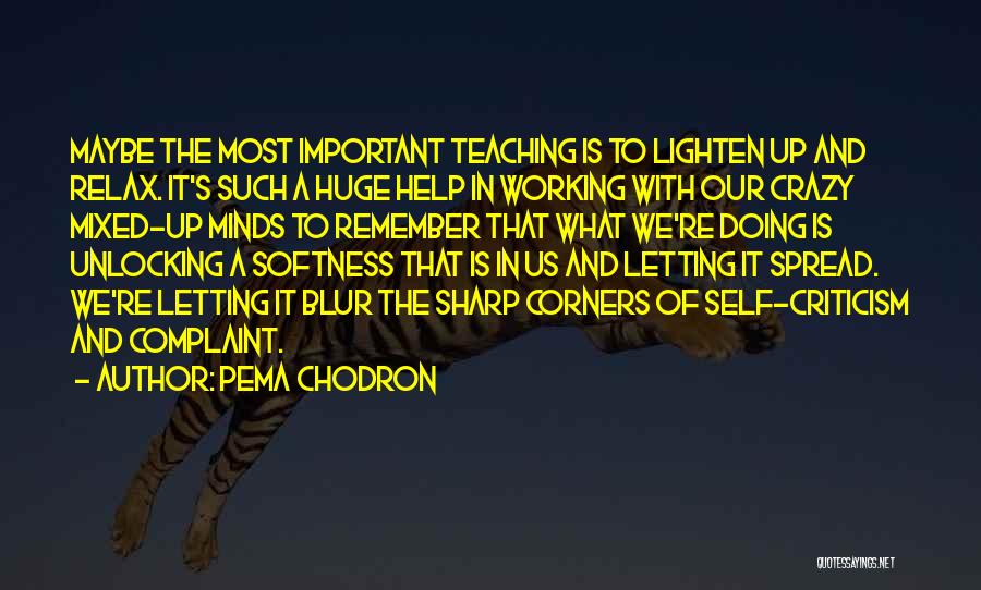 Pema Chodron Quotes: Maybe The Most Important Teaching Is To Lighten Up And Relax. It's Such A Huge Help In Working With Our