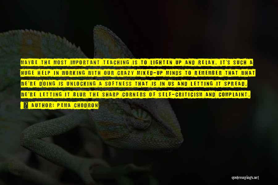 Pema Chodron Quotes: Maybe The Most Important Teaching Is To Lighten Up And Relax. It's Such A Huge Help In Working With Our