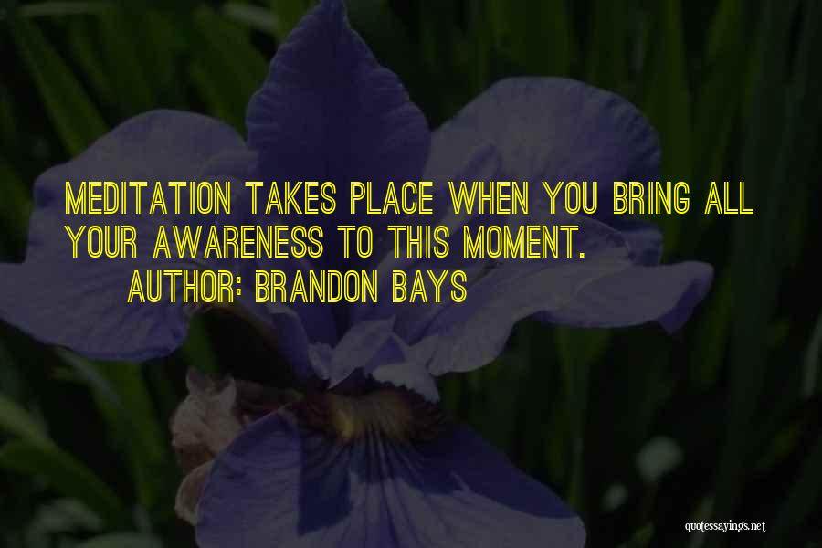 Brandon Bays Quotes: Meditation Takes Place When You Bring All Your Awareness To This Moment.