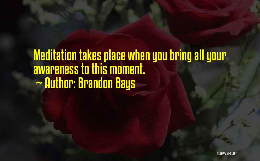 Brandon Bays Quotes: Meditation Takes Place When You Bring All Your Awareness To This Moment.