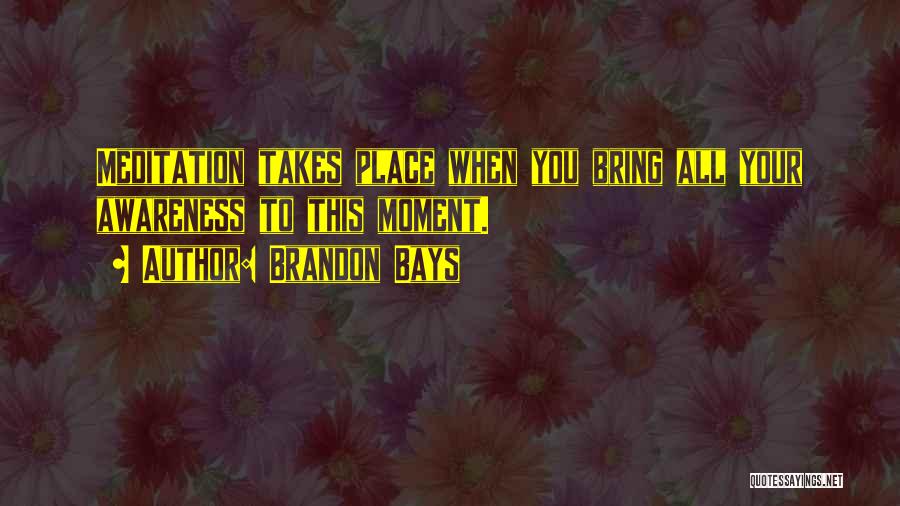 Brandon Bays Quotes: Meditation Takes Place When You Bring All Your Awareness To This Moment.