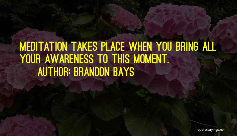 Brandon Bays Quotes: Meditation Takes Place When You Bring All Your Awareness To This Moment.