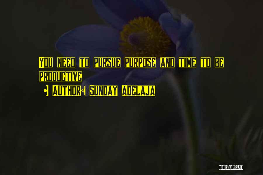 Sunday Adelaja Quotes: You Need To Pursue Purpose And Time To Be Productive