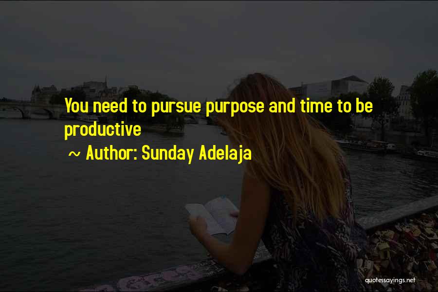Sunday Adelaja Quotes: You Need To Pursue Purpose And Time To Be Productive