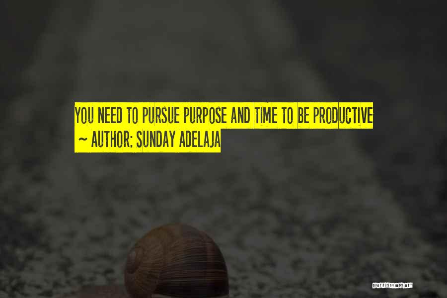 Sunday Adelaja Quotes: You Need To Pursue Purpose And Time To Be Productive