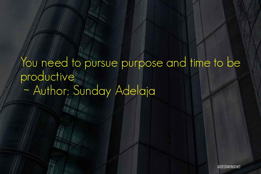 Sunday Adelaja Quotes: You Need To Pursue Purpose And Time To Be Productive