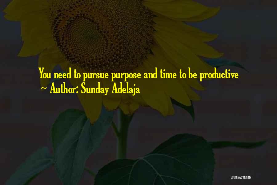 Sunday Adelaja Quotes: You Need To Pursue Purpose And Time To Be Productive