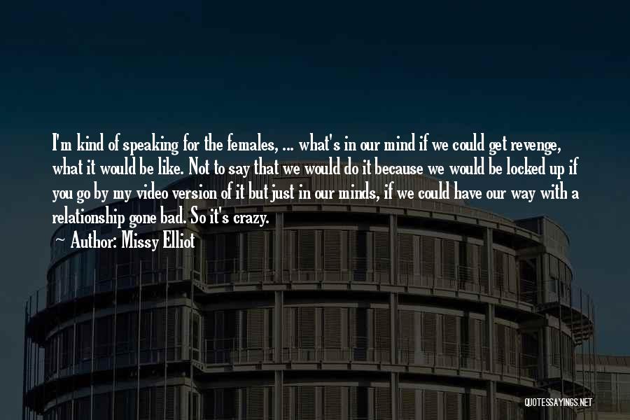 Missy Elliot Quotes: I'm Kind Of Speaking For The Females, ... What's In Our Mind If We Could Get Revenge, What It Would