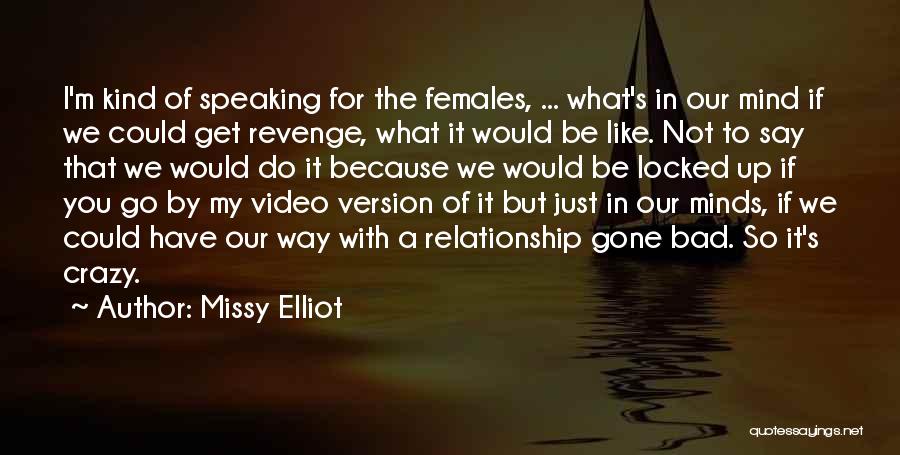 Missy Elliot Quotes: I'm Kind Of Speaking For The Females, ... What's In Our Mind If We Could Get Revenge, What It Would