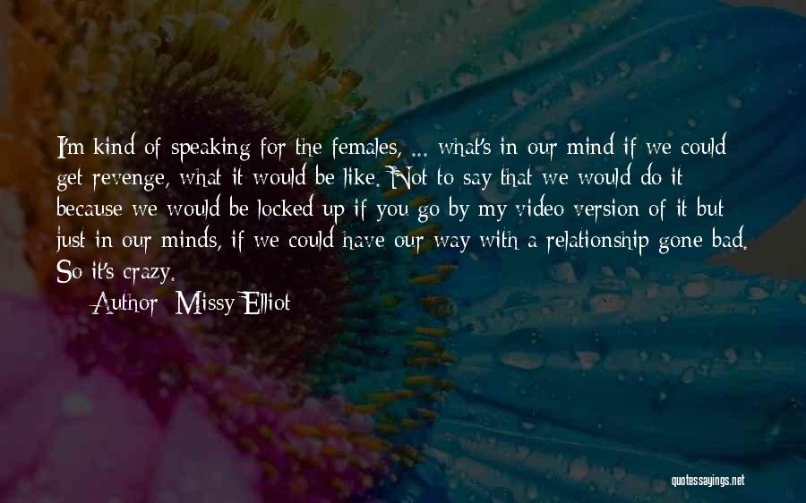 Missy Elliot Quotes: I'm Kind Of Speaking For The Females, ... What's In Our Mind If We Could Get Revenge, What It Would