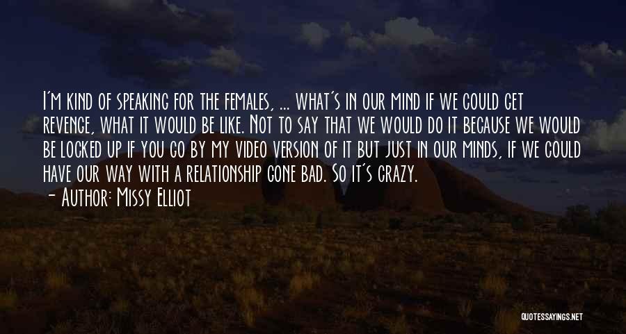 Missy Elliot Quotes: I'm Kind Of Speaking For The Females, ... What's In Our Mind If We Could Get Revenge, What It Would