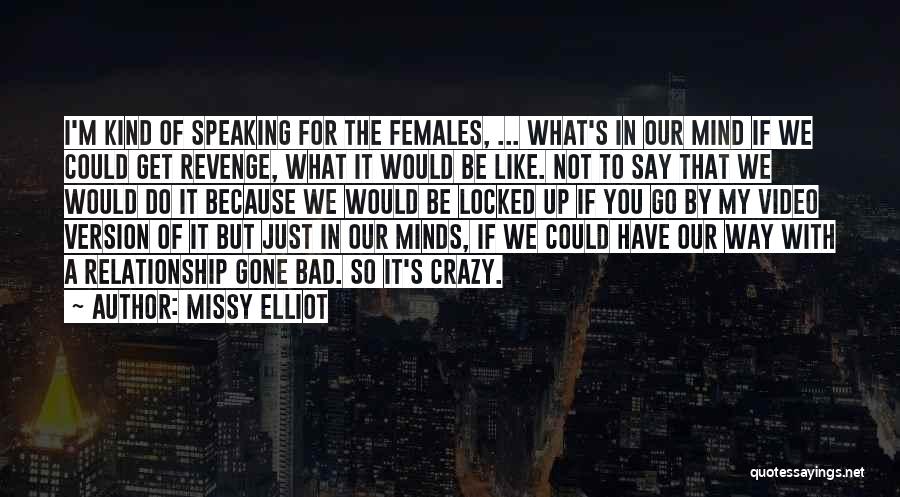 Missy Elliot Quotes: I'm Kind Of Speaking For The Females, ... What's In Our Mind If We Could Get Revenge, What It Would