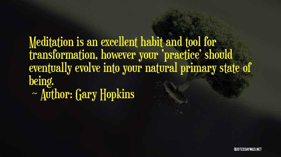 Gary Hopkins Quotes: Meditation Is An Excellent Habit And Tool For Transformation, However Your 'practice' Should Eventually Evolve Into Your Natural Primary State