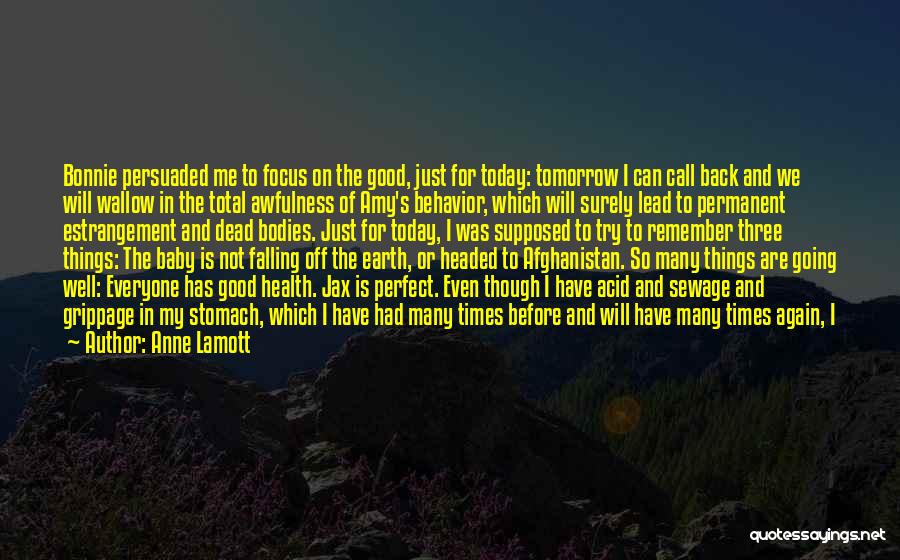 Anne Lamott Quotes: Bonnie Persuaded Me To Focus On The Good, Just For Today: Tomorrow I Can Call Back And We Will Wallow